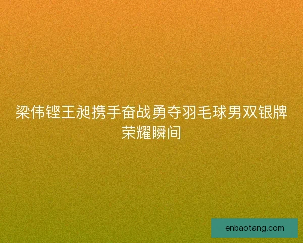 梁伟铿王昶携手奋战勇夺羽毛球男双银牌荣耀瞬间 梁伟铿王昶携手奋战勇夺羽毛球男双银牌荣耀瞬间